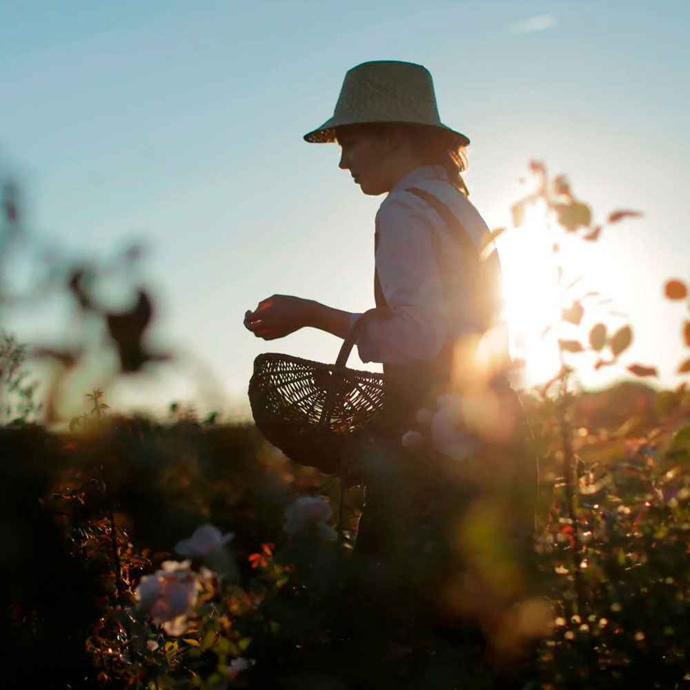 Dior Prestige L´Huile Souveraine Serum 30Ml